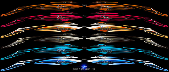 Leisure series seadoo challenger 180 boat graphics